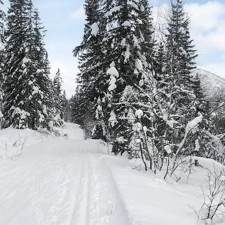 V Hemsedal