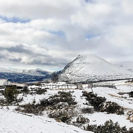Feriehus V Hemsedal